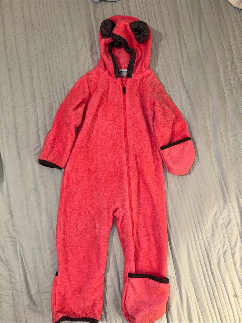 Infant Tiny Bear Fleece Bunting Onesie